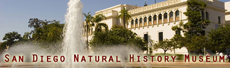 Wedding reception at the San Diego Natural History Museum catered by Elijah's