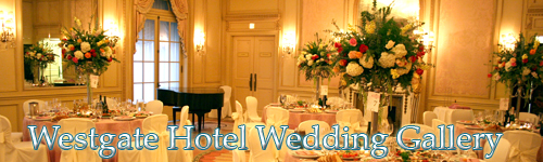Wedding reception at the Westgate Hotel catered by Elijah's